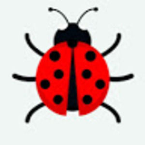 Meet your Posher, Trish